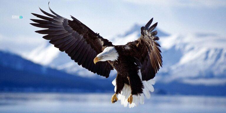 06102016111538-2-m6LJnxp5jgi5n1pX