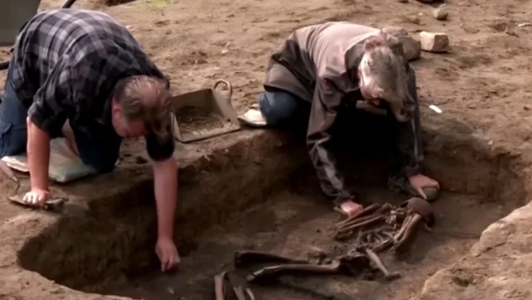 1_-_2024-09-29t205607.652-Aq2vkQk0G7izno0G