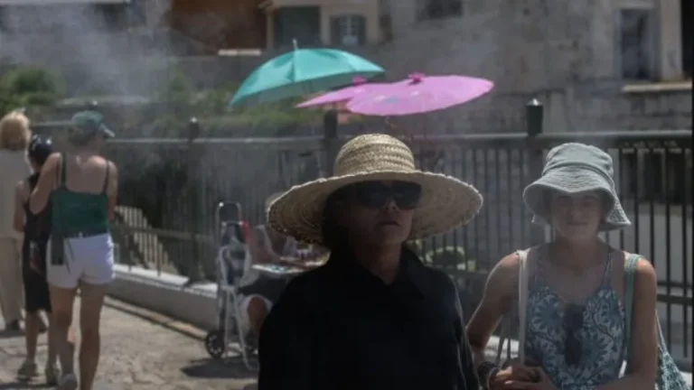 22456542_1-A1aJL1ge06CpWNkn