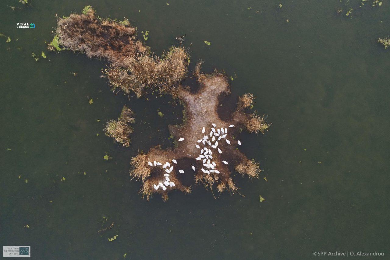 241002141304 prespes 1280x854 AR0y0jyMXXTyqlNy