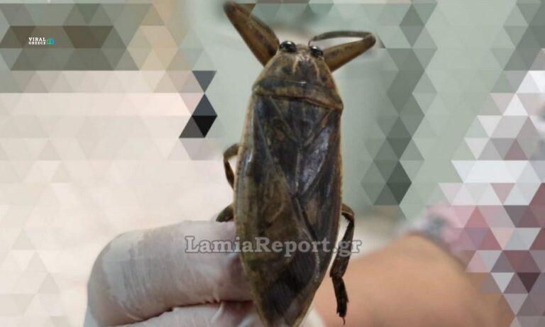 373a6d97-2c138b27-fe8c-4a38-b897-ccdb35fd6155-941x1024-mP4nW6R2WVFXqeDe