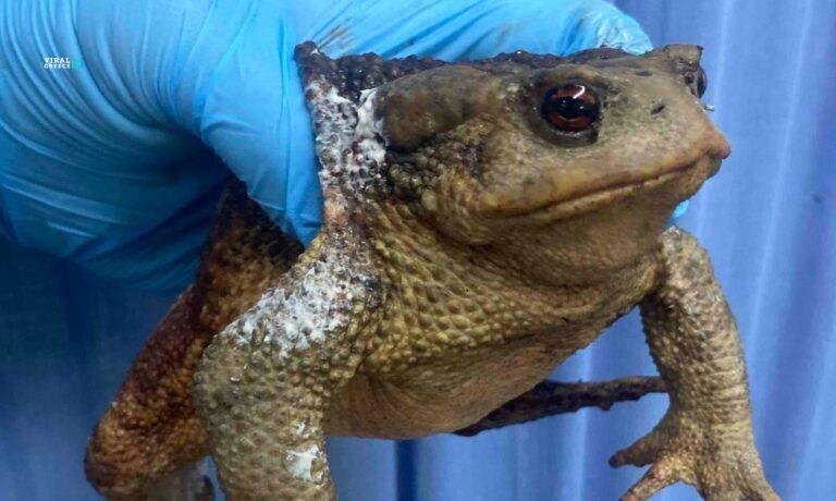 4da8b42d-454403301_941060751390644_5534500935098471007_n-Y4LJVeoea6U5bP8n