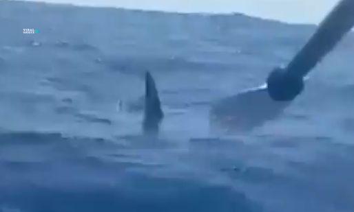 5b1e6858-karxarias-ispania-mk3zNkgvJ2UpPW59