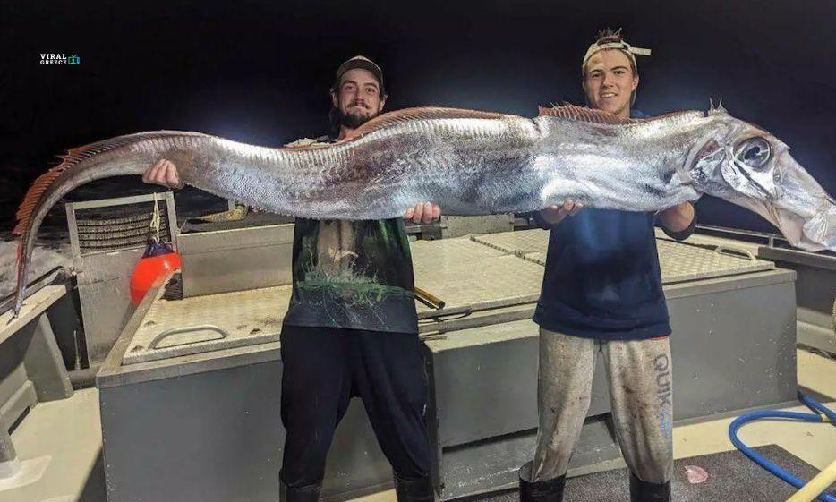 7268299a psari dOqyyRQPeMiO3nnV