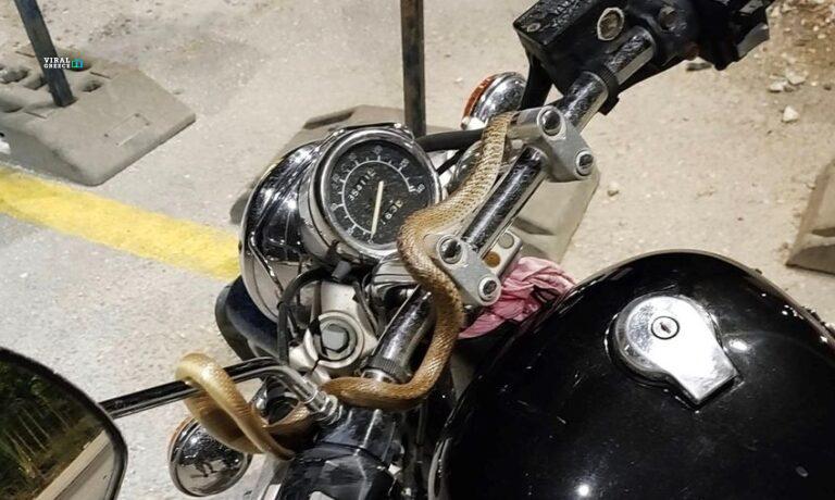 8e29adcf-fidi-YD04NePq6rcLL4V0