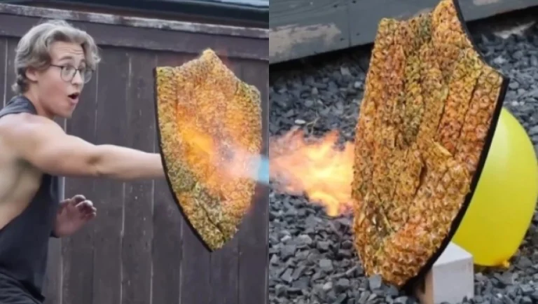 ananas-m7VKD53ky5hDgLPP