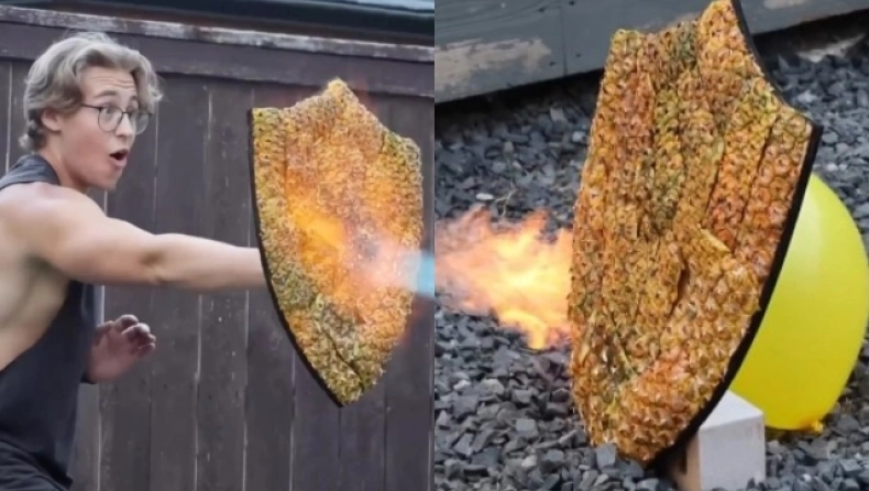 ananas m7VKD53ky5hDgLPP