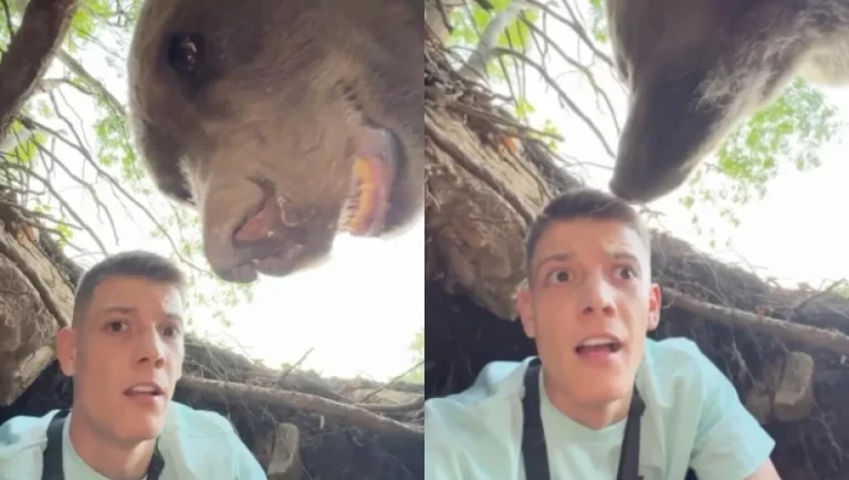 arkouda-mP4QJPM75oSpM2vK