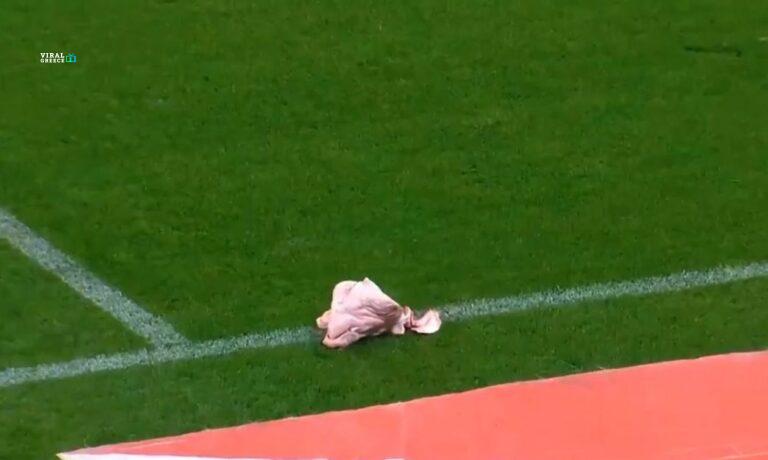 b2223be3-pighead-A0xw9nqJMDtr4LV3