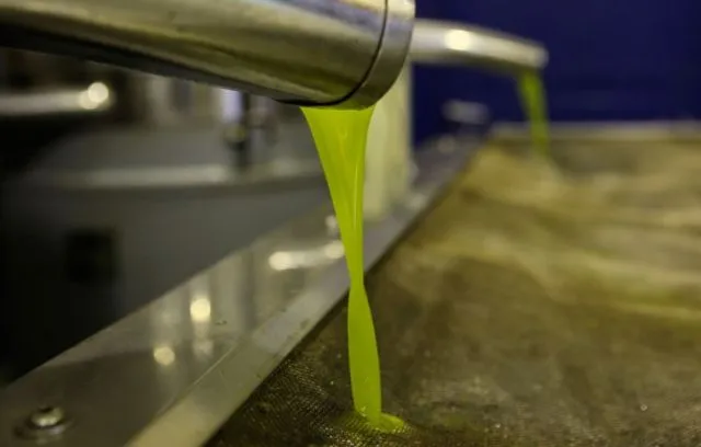 b_elaiolado_elaiotrivio-Yg2W5MlW9Buv170e