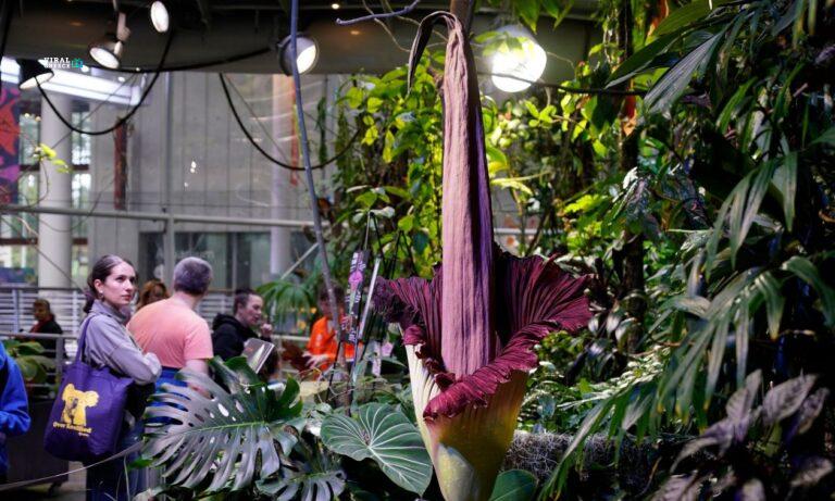 cc2e653c-gettyimages-2049452645-AGB6QWGGJ9sD2oNM