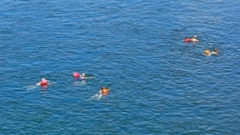 elvetia-mk394vJ18gUv60gP