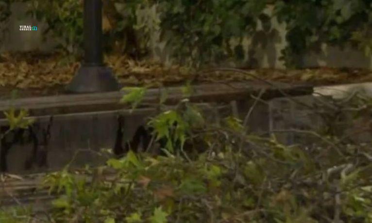 f863d0eb dentro thessaloniki A1aJMeDnEGC8lXvB