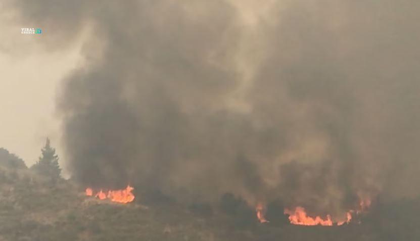 fotia xylokastro Ylev0DOX0ETZygWD