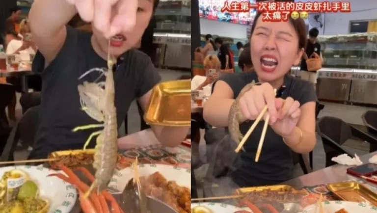 garida-mP4Qr5QxRDhv29NV