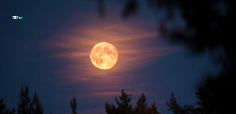 hunters-full-moon-YNqyXzEQO7S08zP0