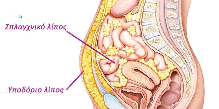 i-i1-iui-i1-2i--i1-ii--iii-i--ii1-2i1ioi-i-i-ii-i-ioi--i1-iiii--iuii1ioi-i1-2i-ii1-2i--iui-i1-2i--i1-i3i1i---ii-i1-2-ii3iui-i---i1-4i--i-AoPGG9r1qEi7L93Q