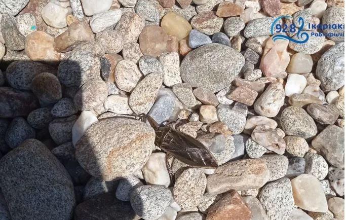 ikaria-ALpoZ0yQ6wi36Pvk