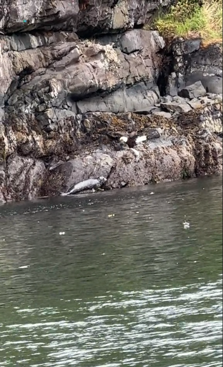 lll-mv07z5WXbKcyEkZZ