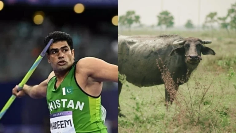 olympiakoiagones-A85497J2G3sLOn7Q