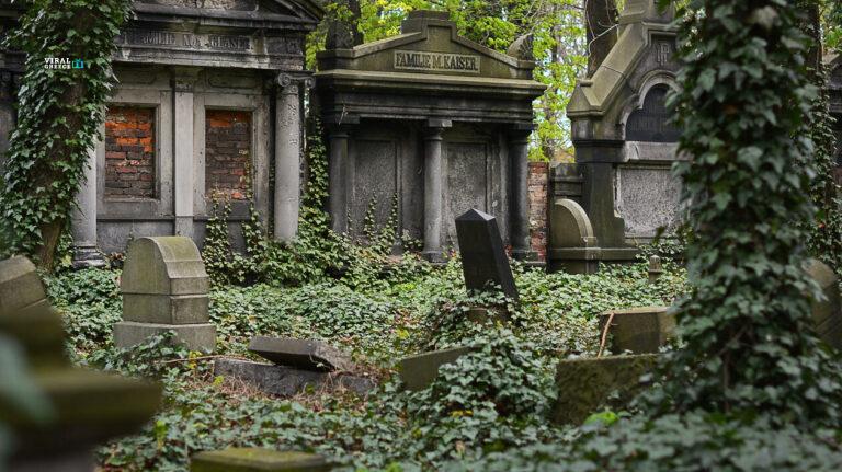 pexels-photo-460617-mP4QJN9BjOSvQW8Z