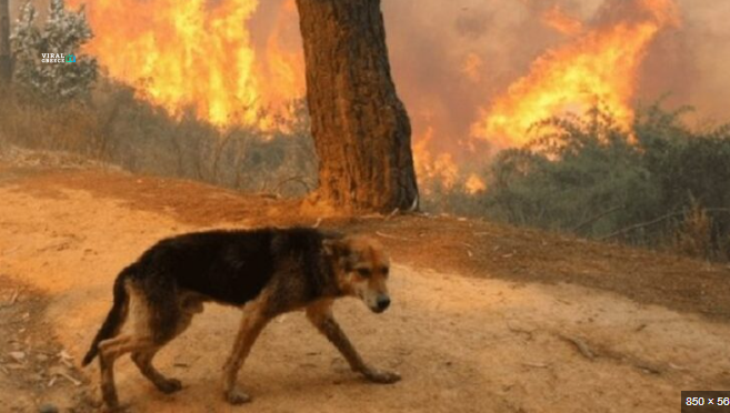 screenshot www.google.com 2024.08.12 18 43 42 d95gZn1NgjIgyeXX