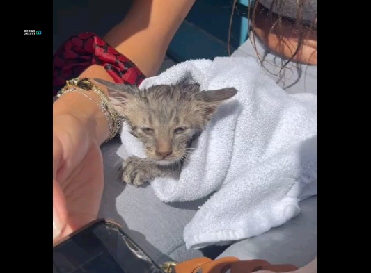 screenshot-www.reader.gr-2024.07.22-20_18_37-m5KbPa1XxJUXoXyV