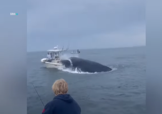 screenshot-www.youtube.com-2024.07.25-16_04_25-Yley207nbMSWK8nO