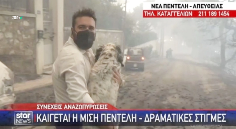 screenshot-www.zarpanews.gr-2024.08.12-18_53_37-Y4LJPXX2k4IrGJak