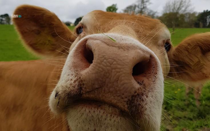 shutterstock656620891 ALpnZX7VpaUj5OkZ