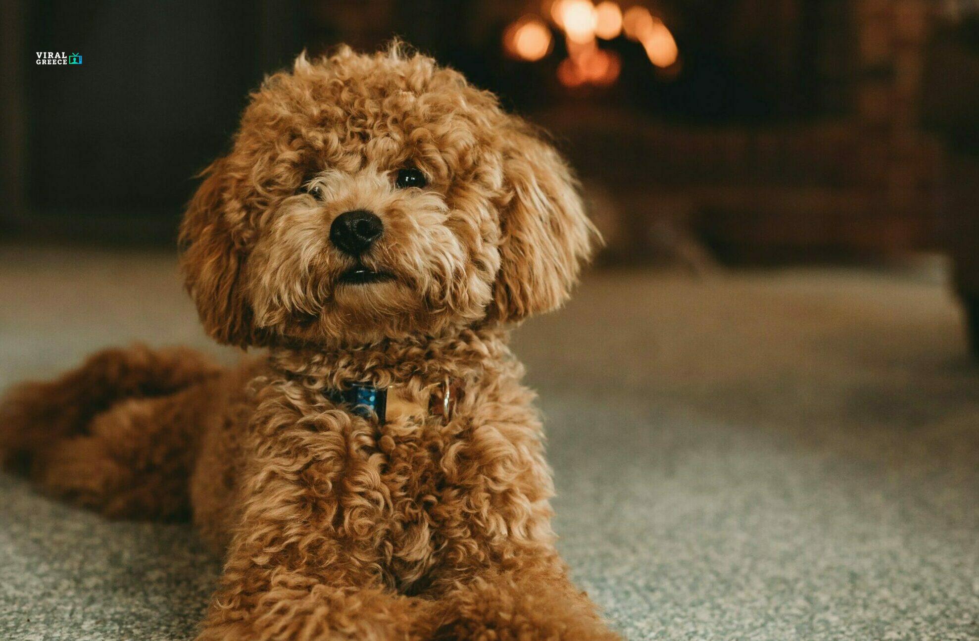 steven van elk 1onbcf7aody unsplash scaled e1707373962990 m7VKQpglq9u42r23