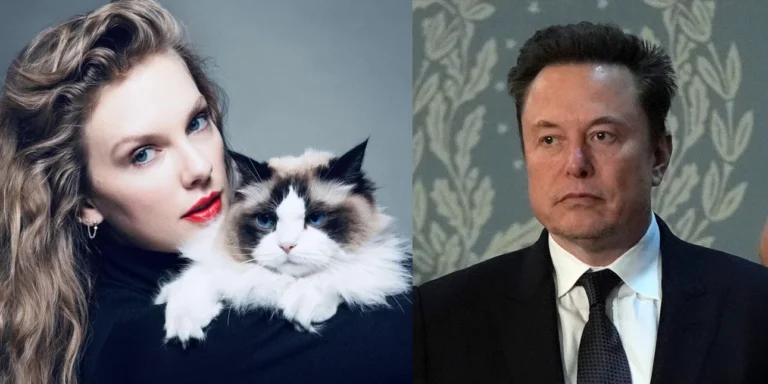 taylor-swift-elon-musk.jpg-AGB4RrNlpgh391Re