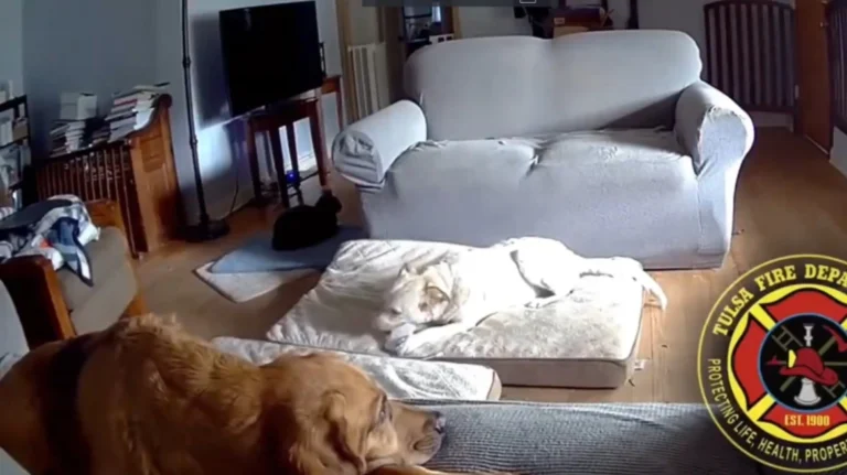 tulsa_skylos-AzG73bDR5wUX2VRp