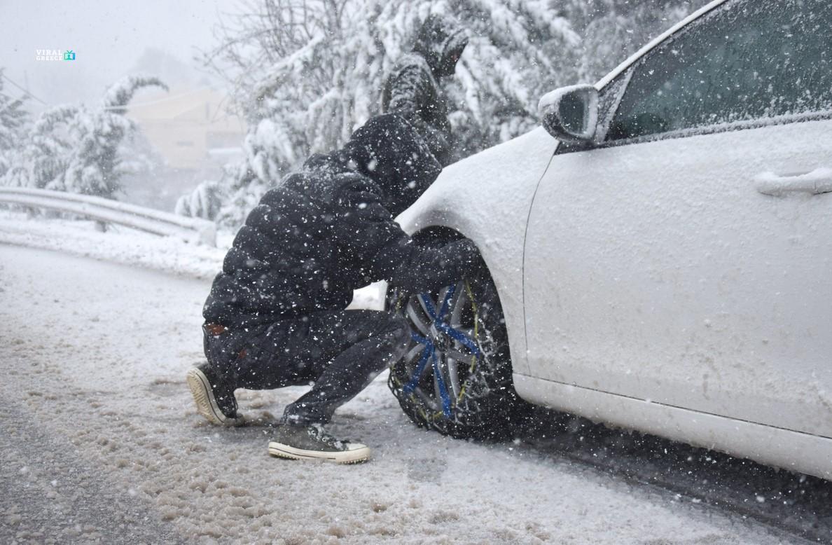 antiolisth alys16 11