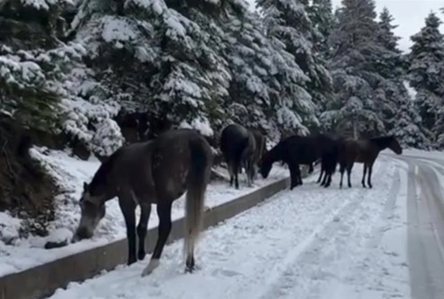 be919778 25c6 4480 a153 74c844c00159