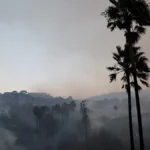 Φωτιά στο Μαλιμπού: Εκκενώνονται περιοχές λόγω της ραγδαίας εξάπλωσης Φωτιά στο Μαλιμπού: Εκκενώνονται περιοχές λόγω της ραγδαίας εξάπλωσης