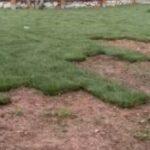 Έκλεψαν το γκαζόν από τον δήμο Ελληνικού Έκλεψαν το γκαζόν από τον δήμο Ελληνικού