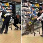 Κογιότ πήγε για ψώνια σε σούπερ μάρκετ στο Σικάγο ( VIDEO ) Κογιότ πήγε για ψώνια σε σούπερ μάρκετ στο Σικάγο ( VIDEO )