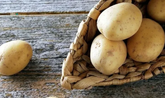 Στην κορυφή του κόσμου δύο ελληνικές ποικιλίες πατάτας Screenshot-2025-01-27-125527