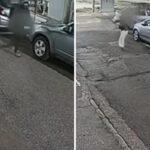 Συνελήφθη ο δράκος του Περιστερίου