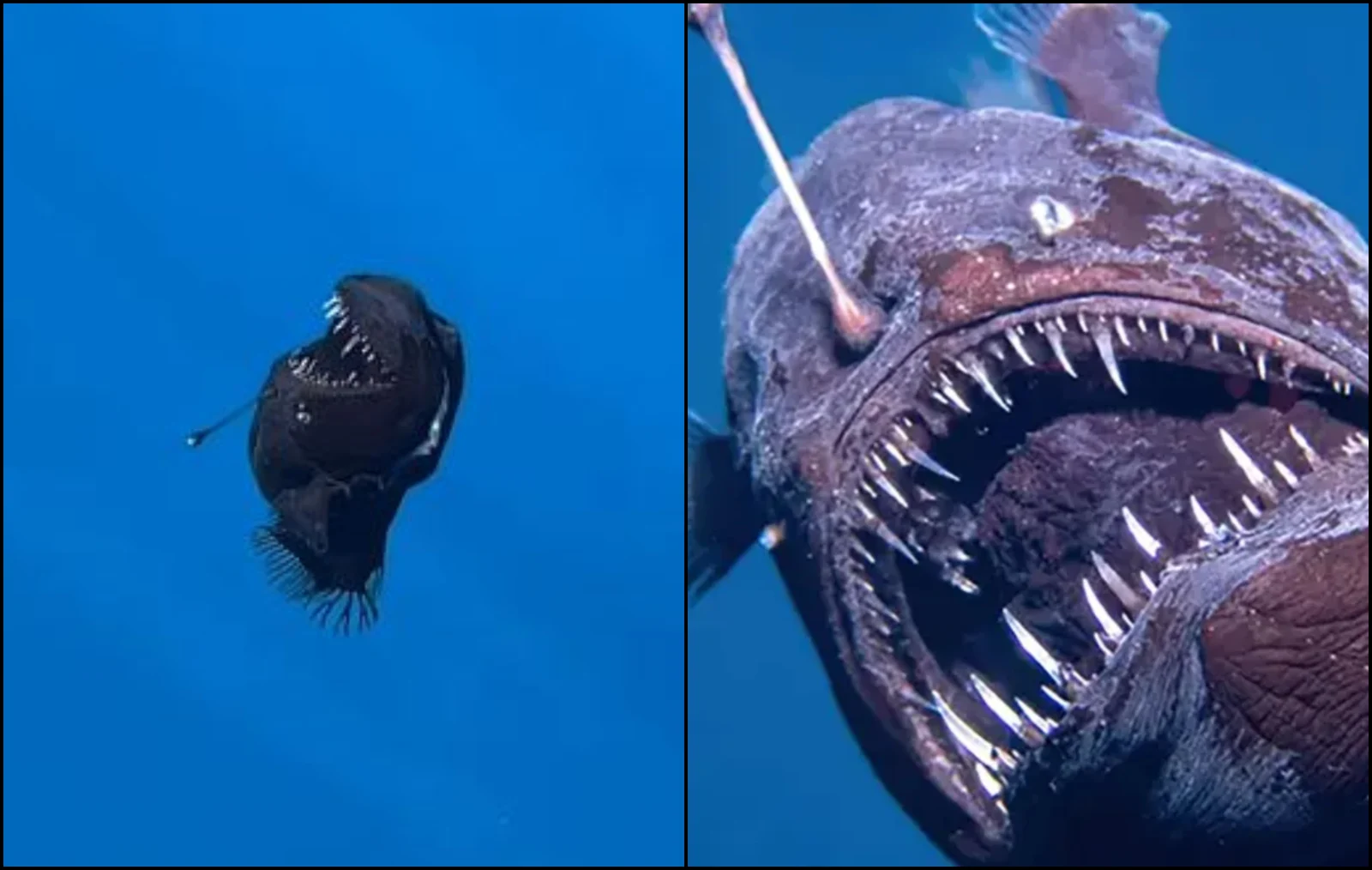 7c1c86b1c11bc100a2e87d3ad4dd5073 XL