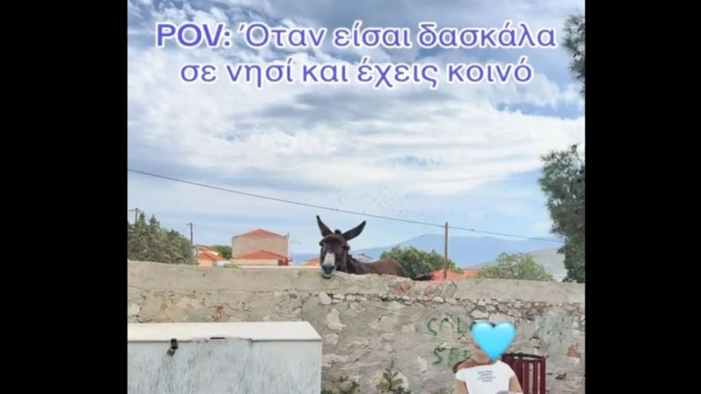 gaidaros chalki 1 Viral Greece