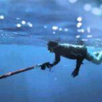 «Χαμένος» στον βυθό, βρέθηκε στο beach bar – Πρόστιμο 73.000€ σε 27χρονο ψαροντουφεκά «Χαμένος» στον βυθό, βρέθηκε στο beach bar – Πρόστιμο 73.000€ σε 27χρονο ψαροντουφεκά