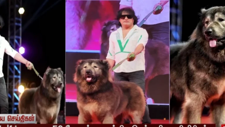 Ο πιο ακριβός σκύλος στον κόσμο: Μια διασταύρωση λύκου και Καυκάσιου Shephard αξίας 5,81 εκατ. δολαρίων skyli_