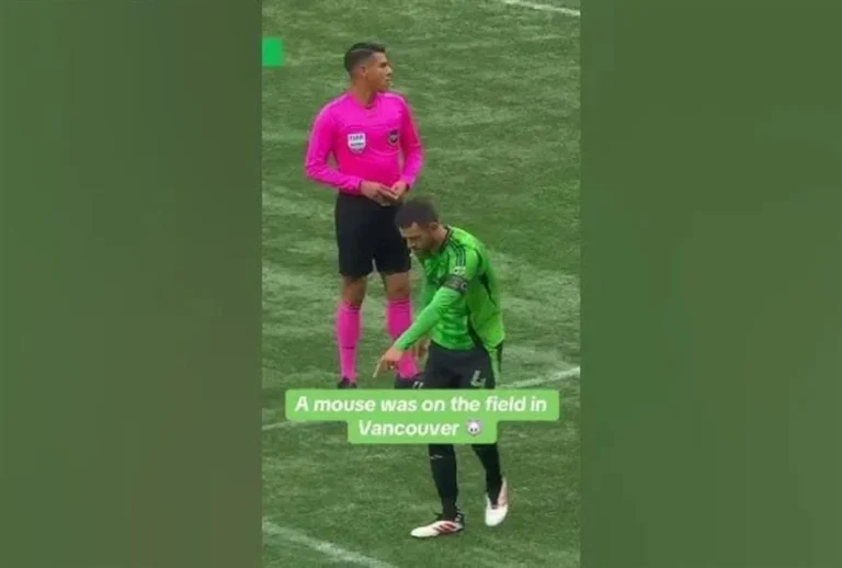 9db066fd-e9cb-4474-b3d2-0ac167b1c68a