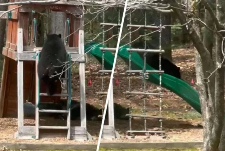 b08f2c72-73e7-4fd0-88ef-ebee9f9dd209