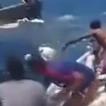 Υεμένη: «Ψάρευαν»… πρόβατα από ναυάγιο ( VIDEO )