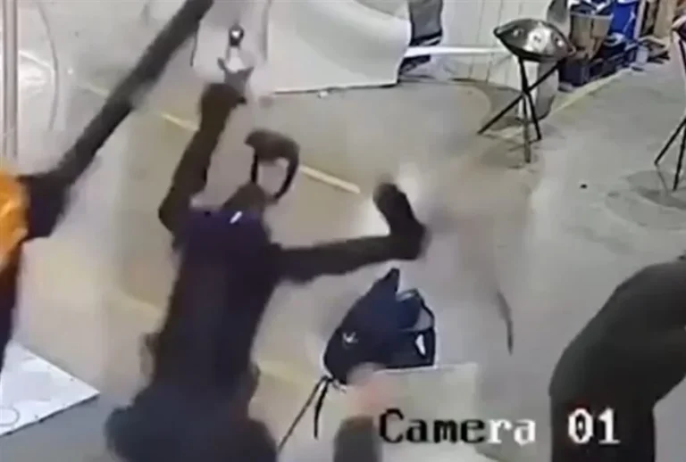 Σοκ στην Κίνα: Ανθρωποειδές ρομπότ επιτέθηκε σε χειριστές του ( VIDEO ) 07d554ae-339e-4674-be92-29989c930cd7