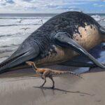 Ένα 11χρονο κορίτσι εντόπισε το μεγαλύτερο θαλάσσιο ερπετό όλων των εποχών