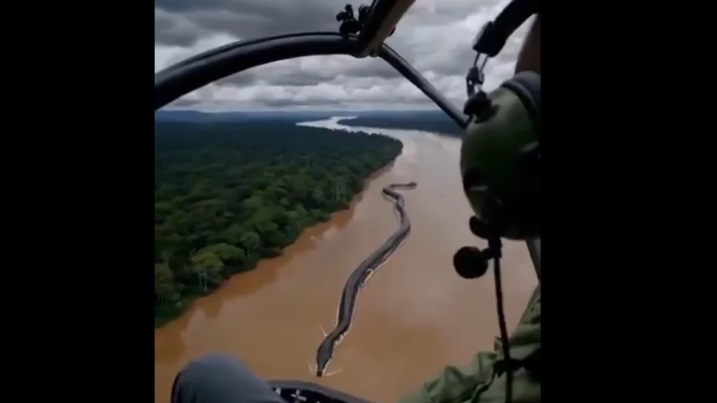 Φίδι-γίγας στον Αμαζόνιο: Η εικόνα που ξεγέλασε το διαδίκτυο ( VIDEO )